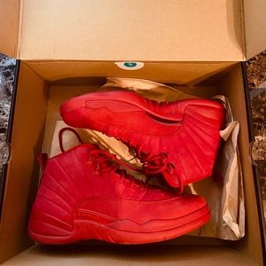 Mens Air Jordan 12 retro